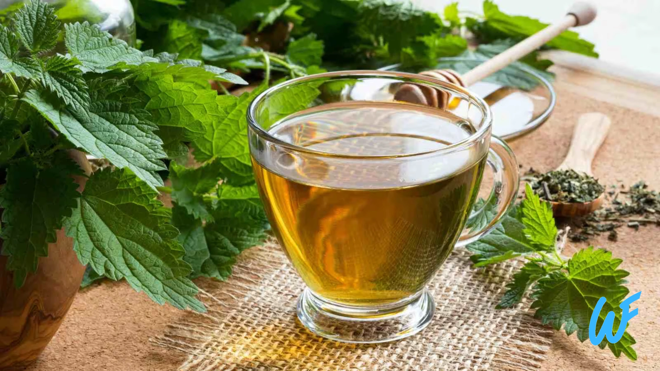 Nettle Tea (Bichu Buti Chai)