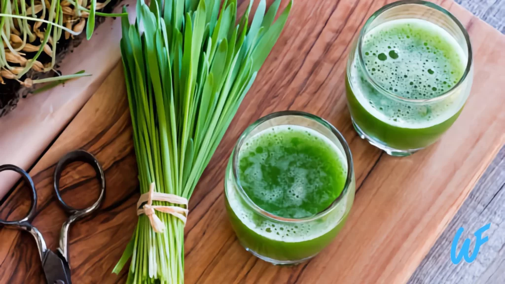 Wheatgrass Juice