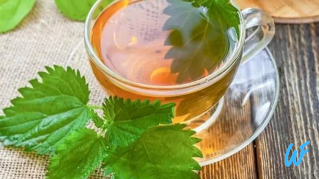 Nettle Tea (Bichu Buti Chai)