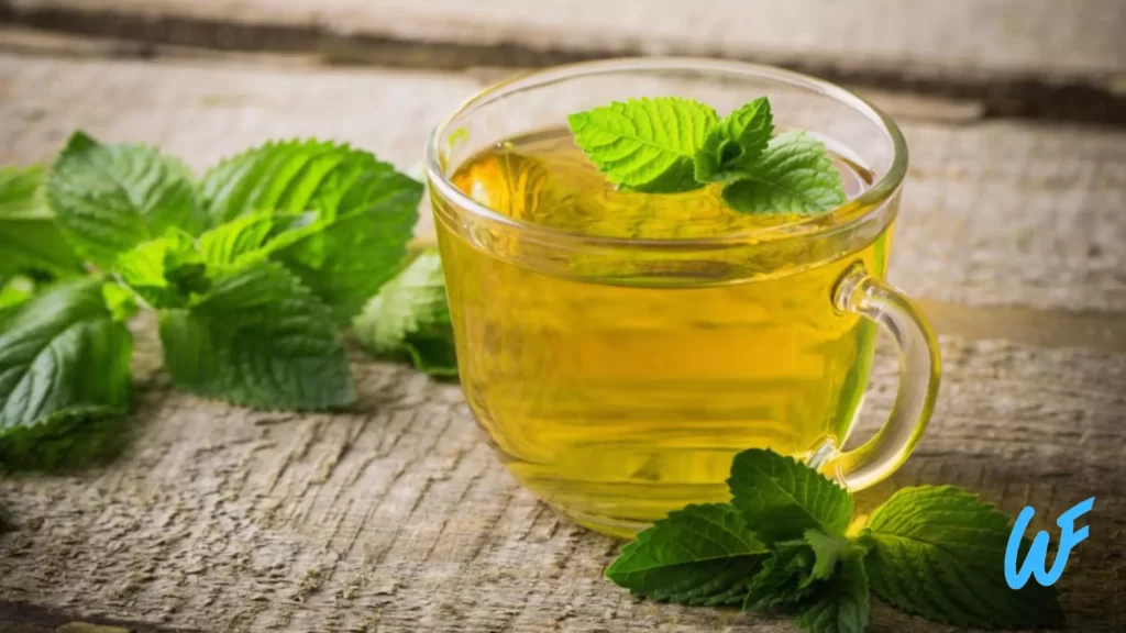 Read more about the article Peppermint Herbal Tea