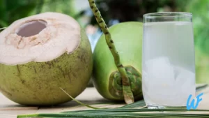 Read more about the article Coconut Water