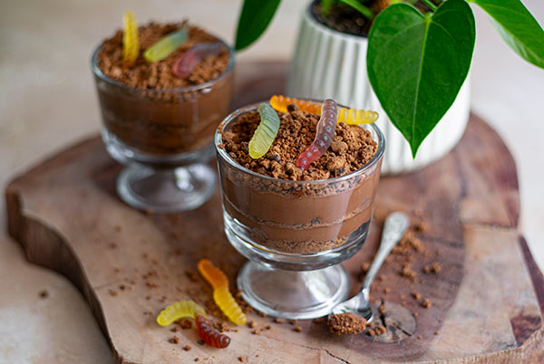 Read more about the article Dirt Pudding | Gluten Free & More By Willfits
