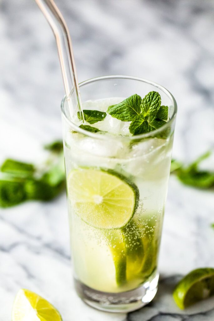 Read more about the article Virgin Mojito (Nojito) – Skinnytaste By Willfits.com