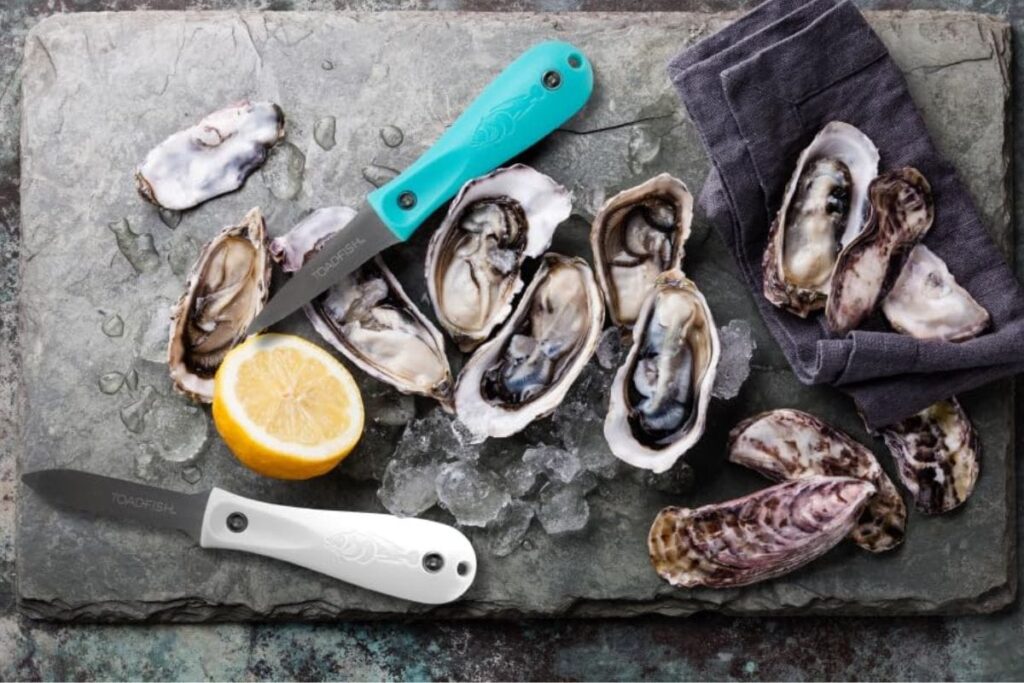 Read more about the article The 4 Best Oyster Knives of 2024 By Willfits.com